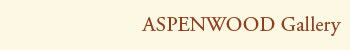 ASPENWOOD Gallery